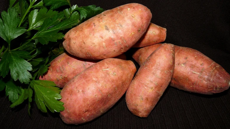 Surové batáty s petrželkou na tmavém pozadí.