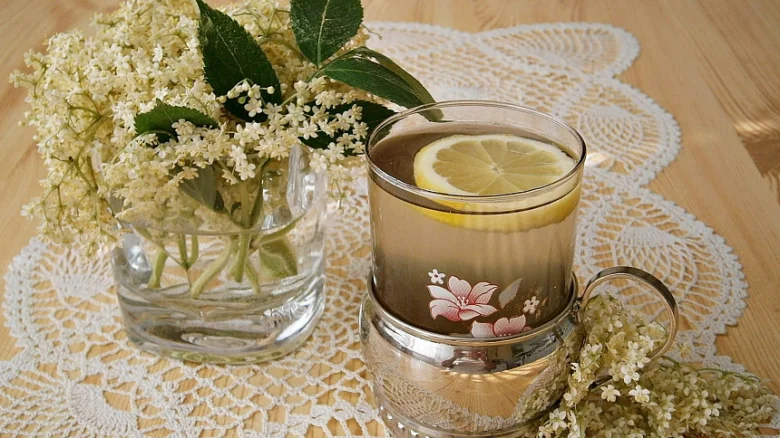 Sklenička domácí limonády s bezovou květinou a citronem
