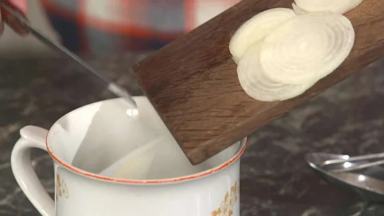 Onion slices in cup