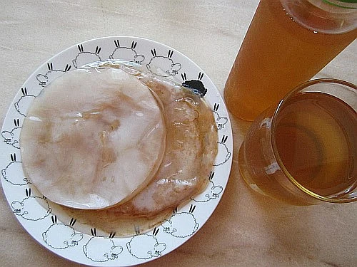Kombucha na talíři s medem, sklenička a láhev.