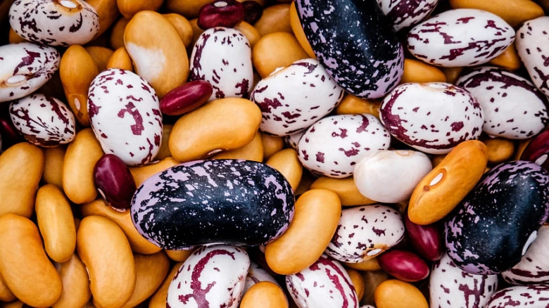Mixed beans close-up