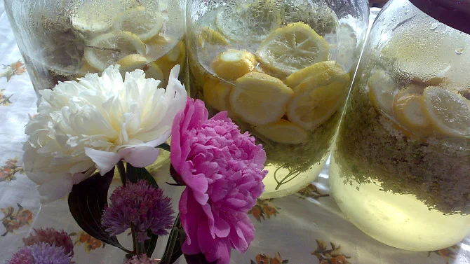 Sklenice s citrony, cukrem a bylinkami pro bezinkový sirup.