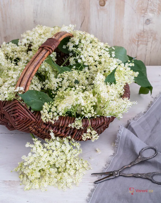 Elderflower in basket