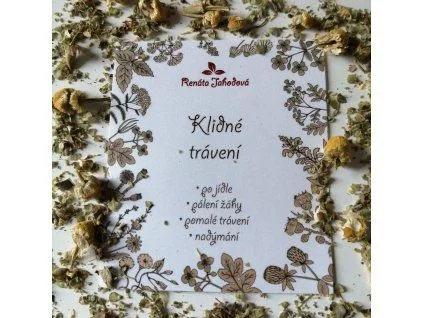 Suchá tráva s listy obklopuje bílý lístek se slovy o klidném trávení.