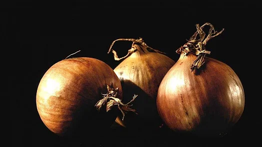Tři celá cibule na černém pozadí pro článek o smažené cibuli.