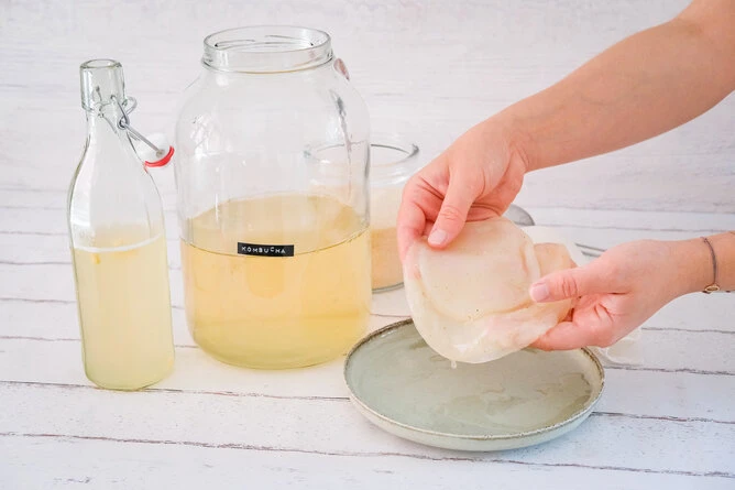 Ruce drží SCOBY nad talířem při domácí přípravě kombuchy.