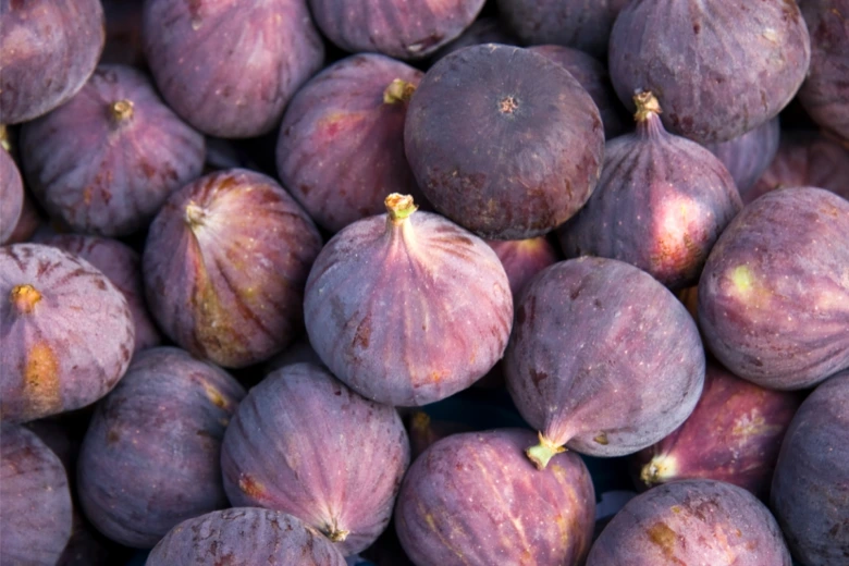 Hromada čerstvých fíků s purpurovou kůrou a zelenými stopkami.