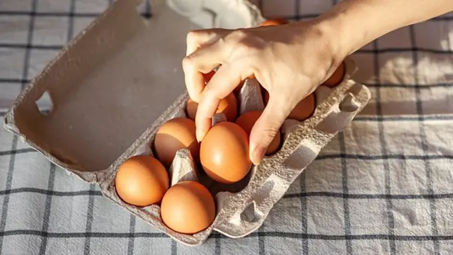 Ruka s vejci v kartonovém krabici na ubrusu.
