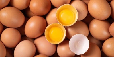 Rozklepnutá vejce s žloutkem na podkladu celých vajec