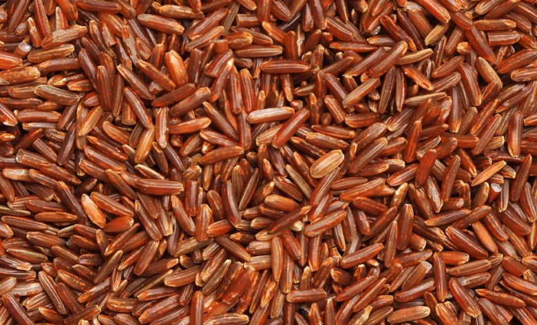 Brown rice grains